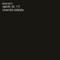 #1A1611 - Hunter Green Color Image